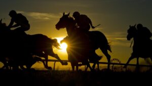 A setting sun at a past Hawkesbury stand-alone Saturday meeting. Photo: Jenny Evans