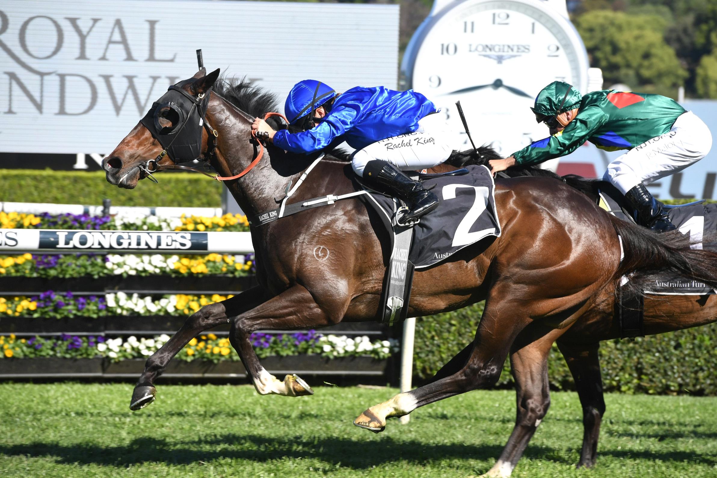 Flit can bounce back into the winner’s stall on Saturday.