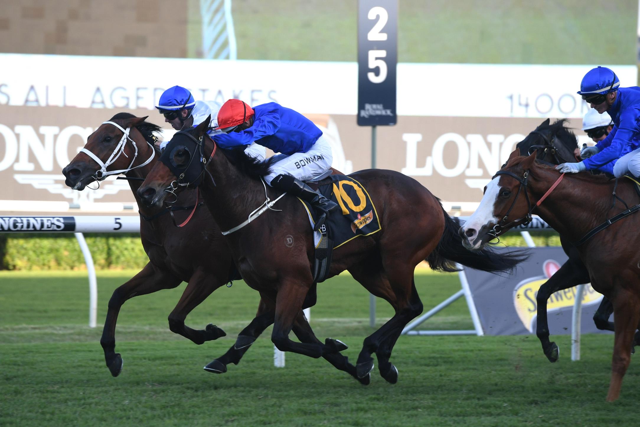 Savatiano can chalk up another Group 1 in Saturday’s Kingsford-Smith Cup.