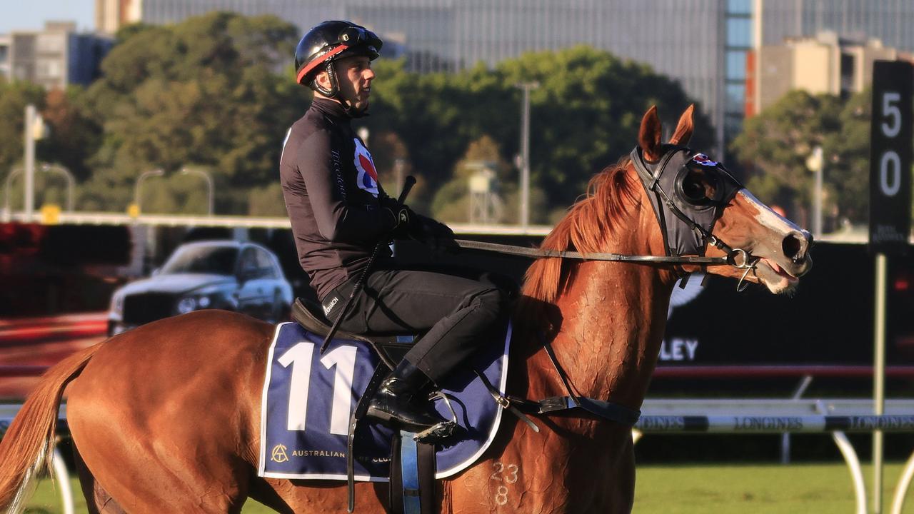 Gin Martini is a leading chance in the Group 1 Champagne Stakes. Picture: Getty Images