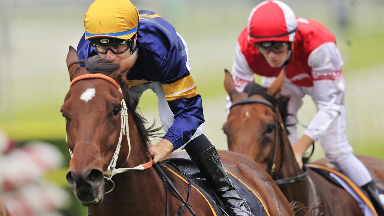 Classy sprinter Masked Crusader is looking for his second Group 1 win in the All Aged Stakes at Randwick. Photo: Mark Evans/Getty Images