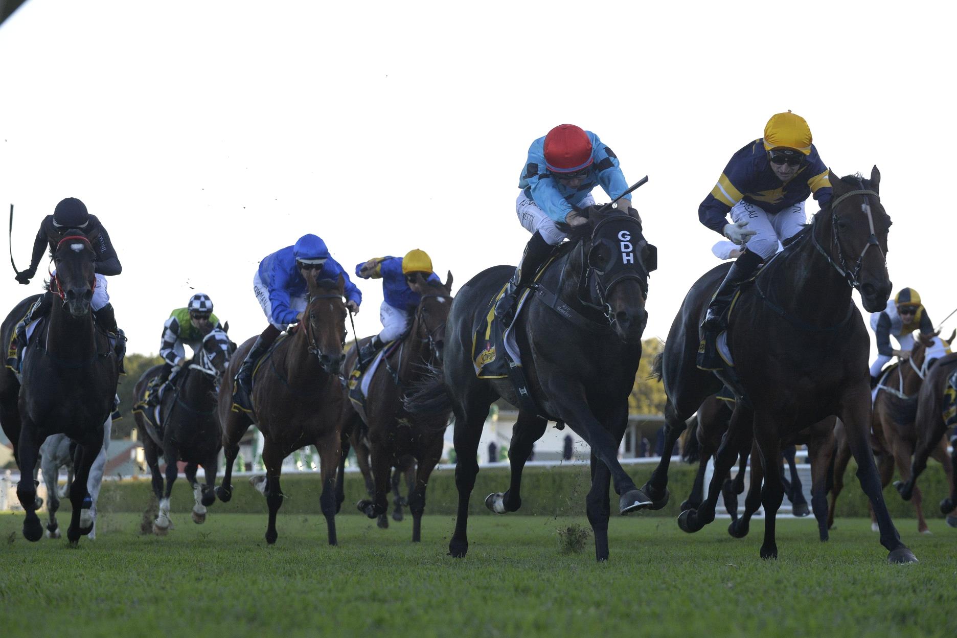 Tofane and Pierata fighting out the finish of the 2020 All Aged Stakes.