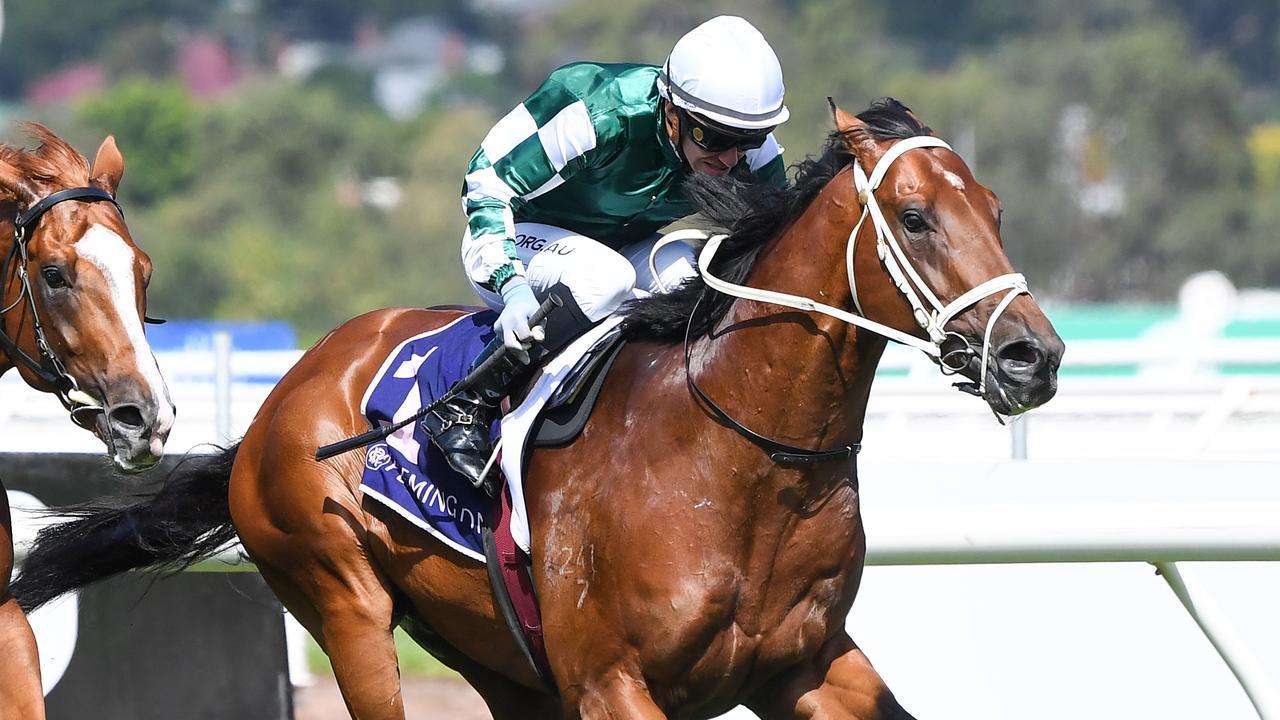 Tagaloa is on song for a hit-and-run Sydney mission in the All-Aged Stakes on Saturday. Photo: Pat Scala/Getty Images