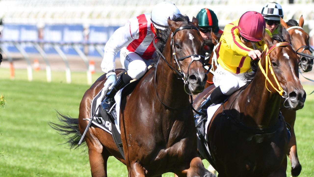 Zoutori will chase a second Group 1 win in Saturday’s All Aged Stakes at Randwick. Photo: Vince Caligiuri/Getty Images.