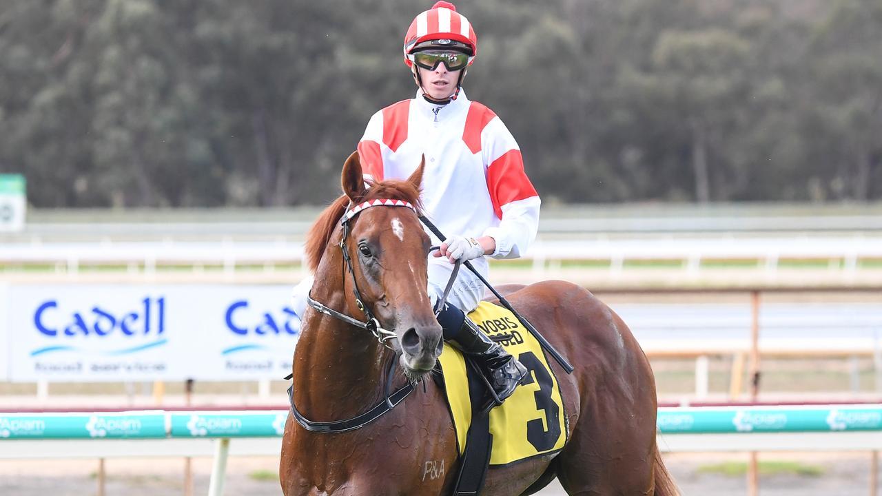 Michael Dee returns to the mounting yard after winning on Starry Legend at Bendigo. Picture: Racing Photos