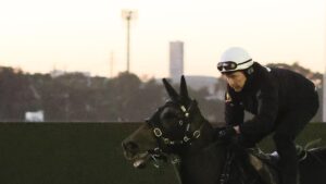 Questions: Does Verry Elleegant really want a good track? Could Mugatoo spoil the Queen Elizabeth party? Photo: Mark Evans/Getty Images.