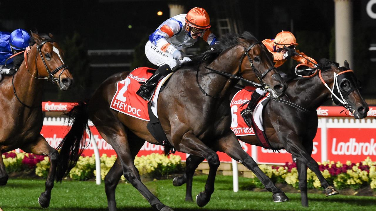 Hey Doc is looking to bounce back at Morphettville. Photo: Brett Holburt/Racing Photos via Getty Images