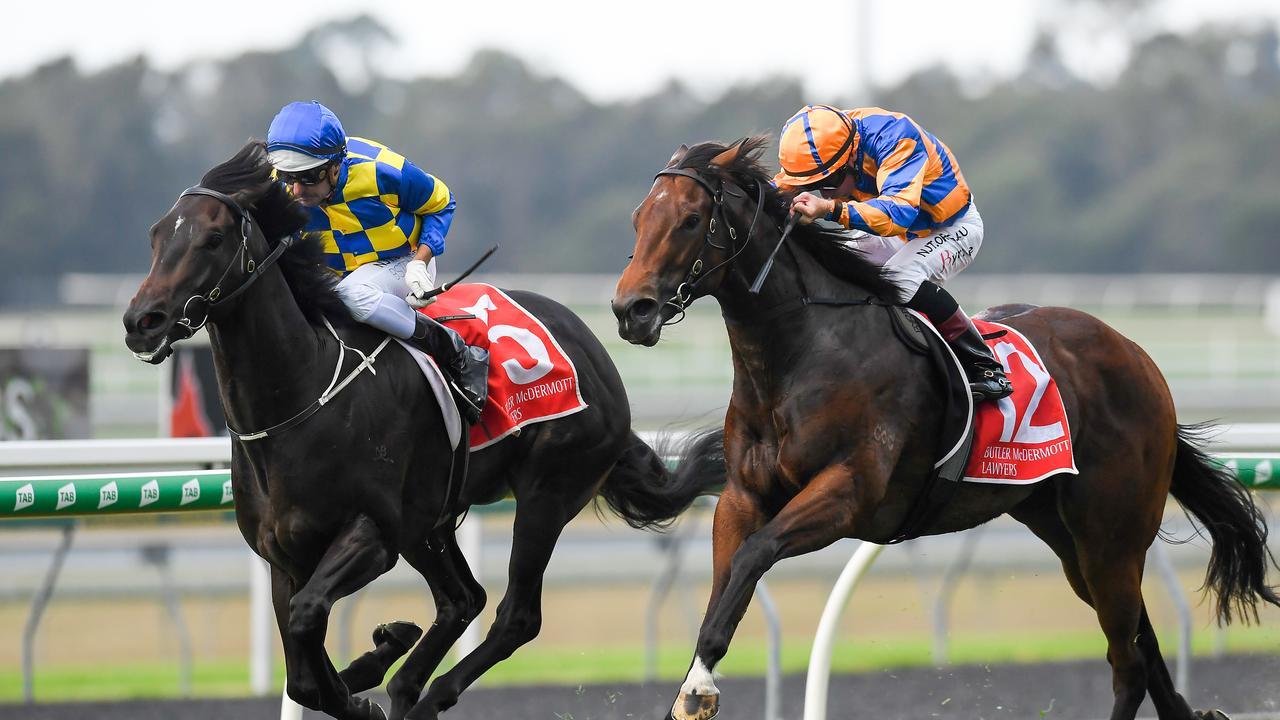 They’re racing at the Sunshine Coast on Sunday. AAP Image/Albert Perez