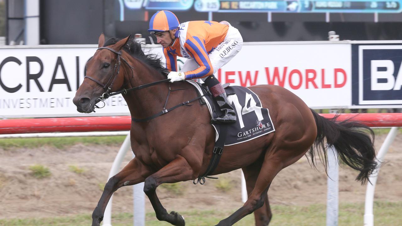 Champion racemare Melody Belle completes her exhibition gallop at Tauranga. Picture: Trish Dunell