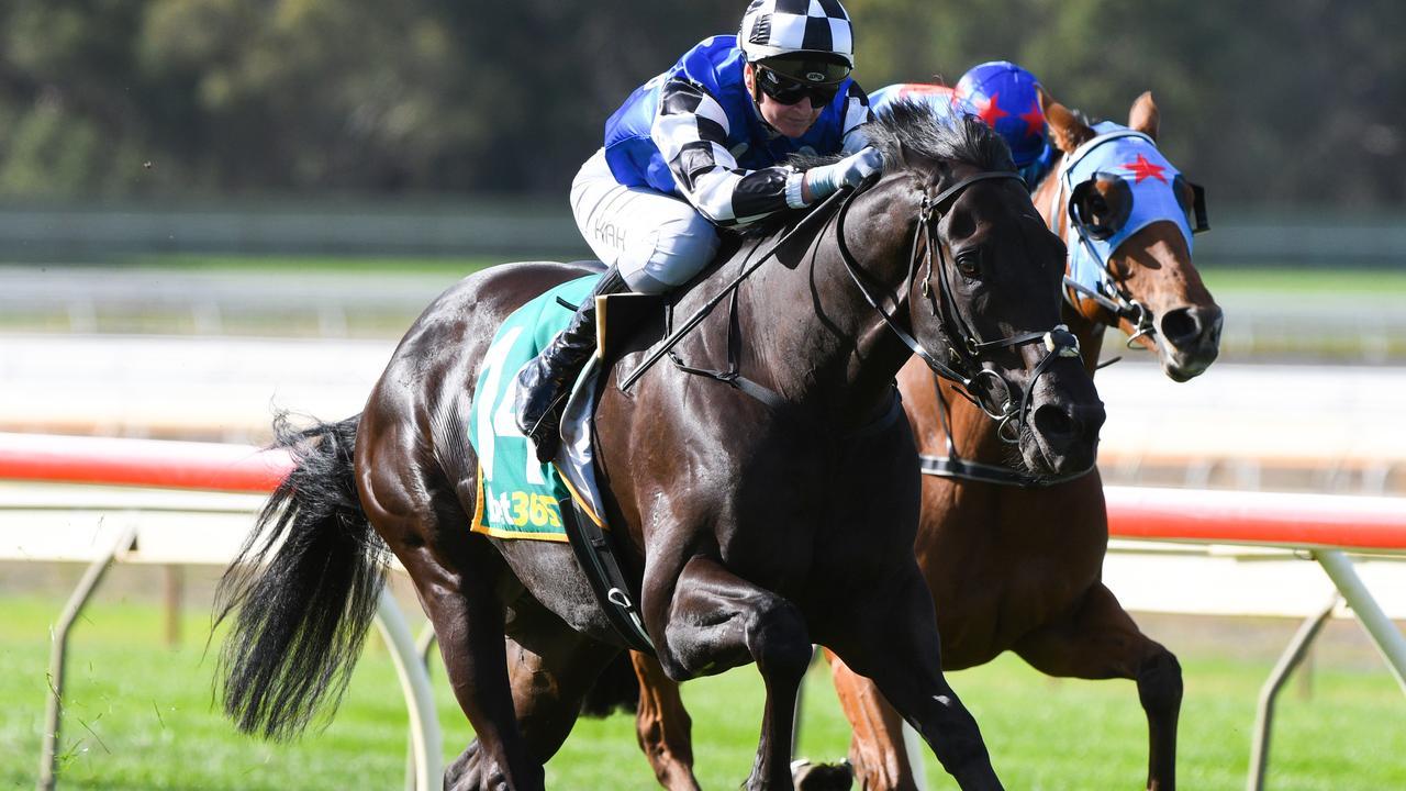 Jamie Kah turns Ironclad loose in the Golden Mile at Bendigo. Photo: Vince Caligiuri/Getty Images