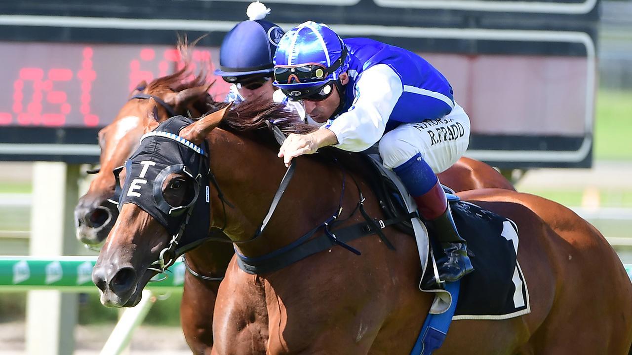 Doomben Win Has Vanna Girl Destined For Bigger Assignments Racenet