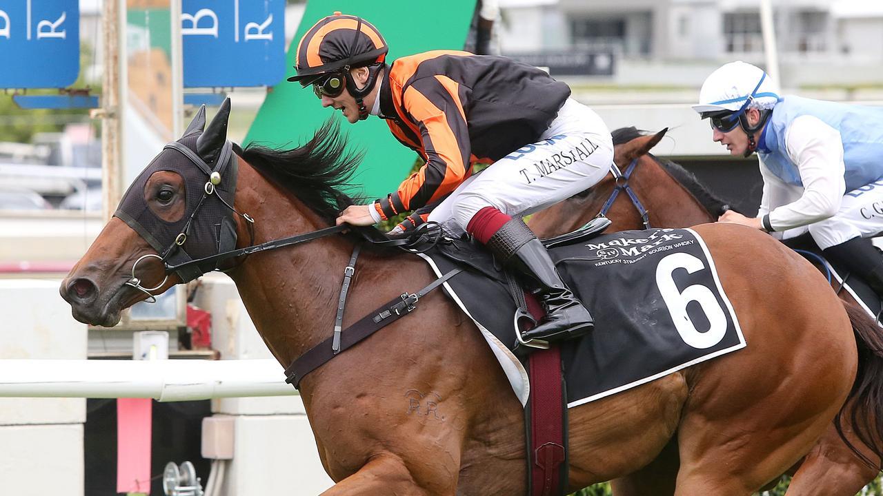 Four-year-old mare Oh Five Glory is likely to be heading to the breeding barn after Saturday. Picture: AAP