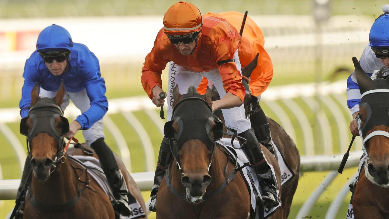 Dreamforce is one horse that will appreciate firmer footing next Saturday. Photo: Mark Evans/Getty Images.