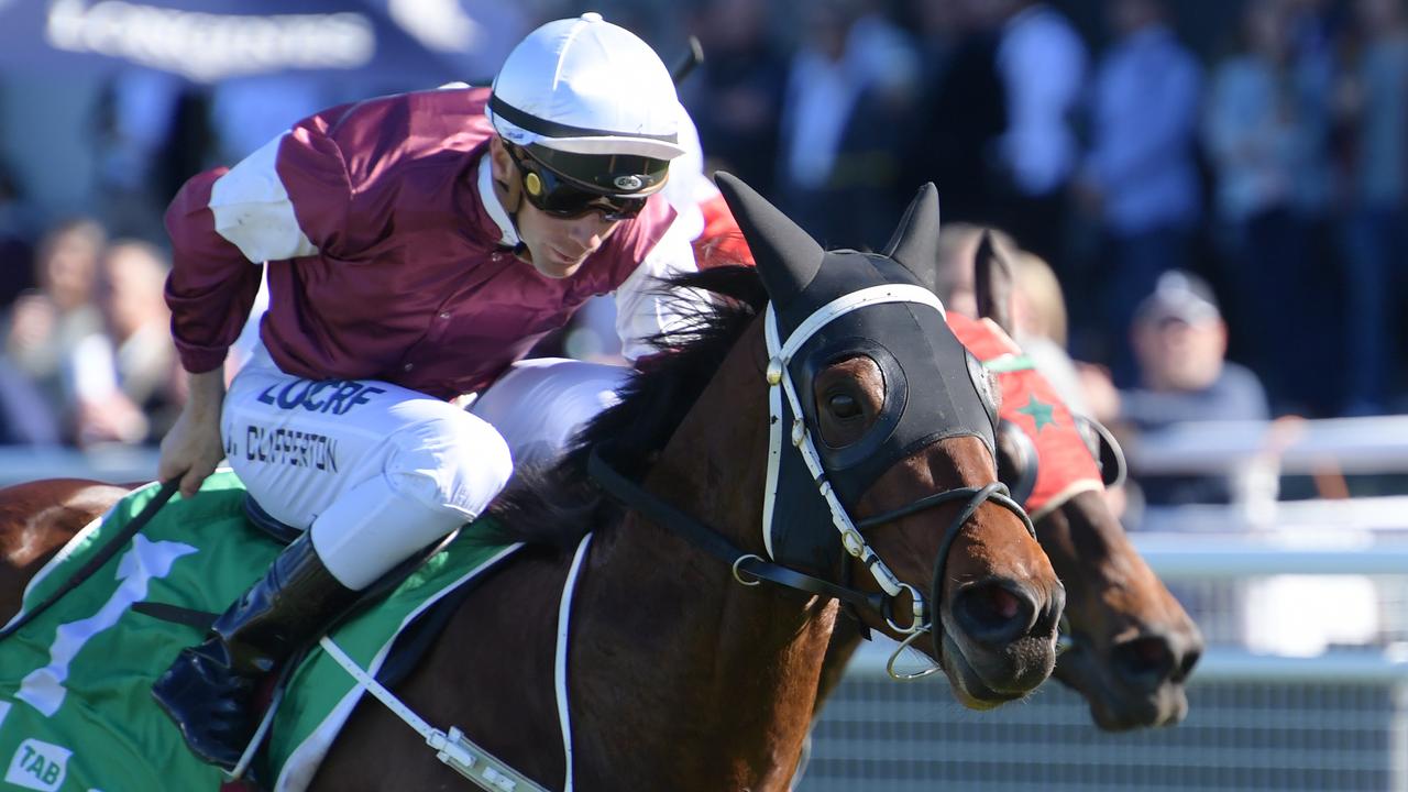 Irish Songs won last year’s Wagga Town Plate. Photo: AAP Image/Simon Bullard