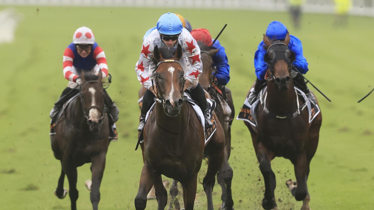 Why this Golden Slipper will be like no other