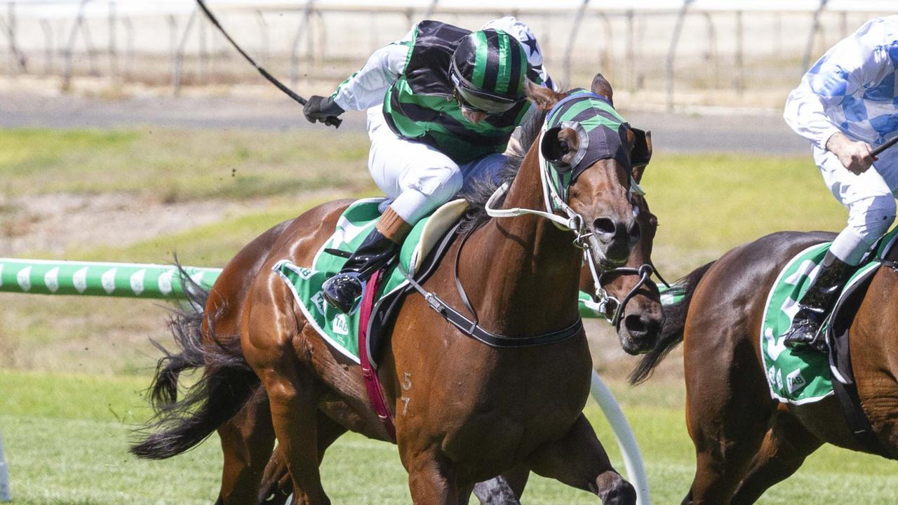 Casino Seventeen scored a tough win at Morphettville. Picture: Atkins Photography