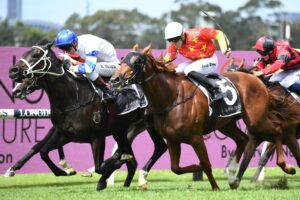 Shaquero wins the Pago Pago Stakes.