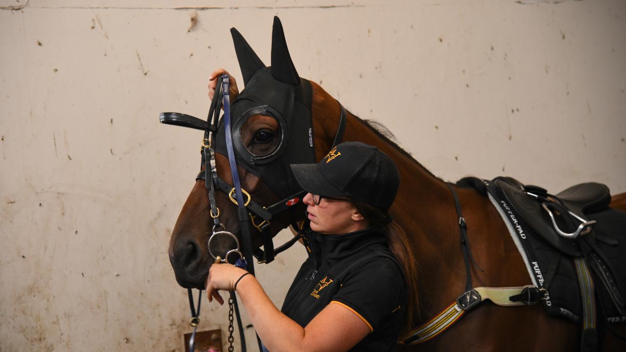 Arcadia Queen has been a race morning scratching from the $5m All-Star Mile. Photo: Vince Caligiuri/Getty Images