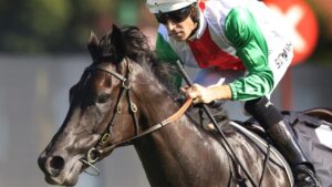 Unbeaten Kiwi three-year-old Aegon has been allotted 52.5kg in the Doncaster Mile. Picture: Getty Images