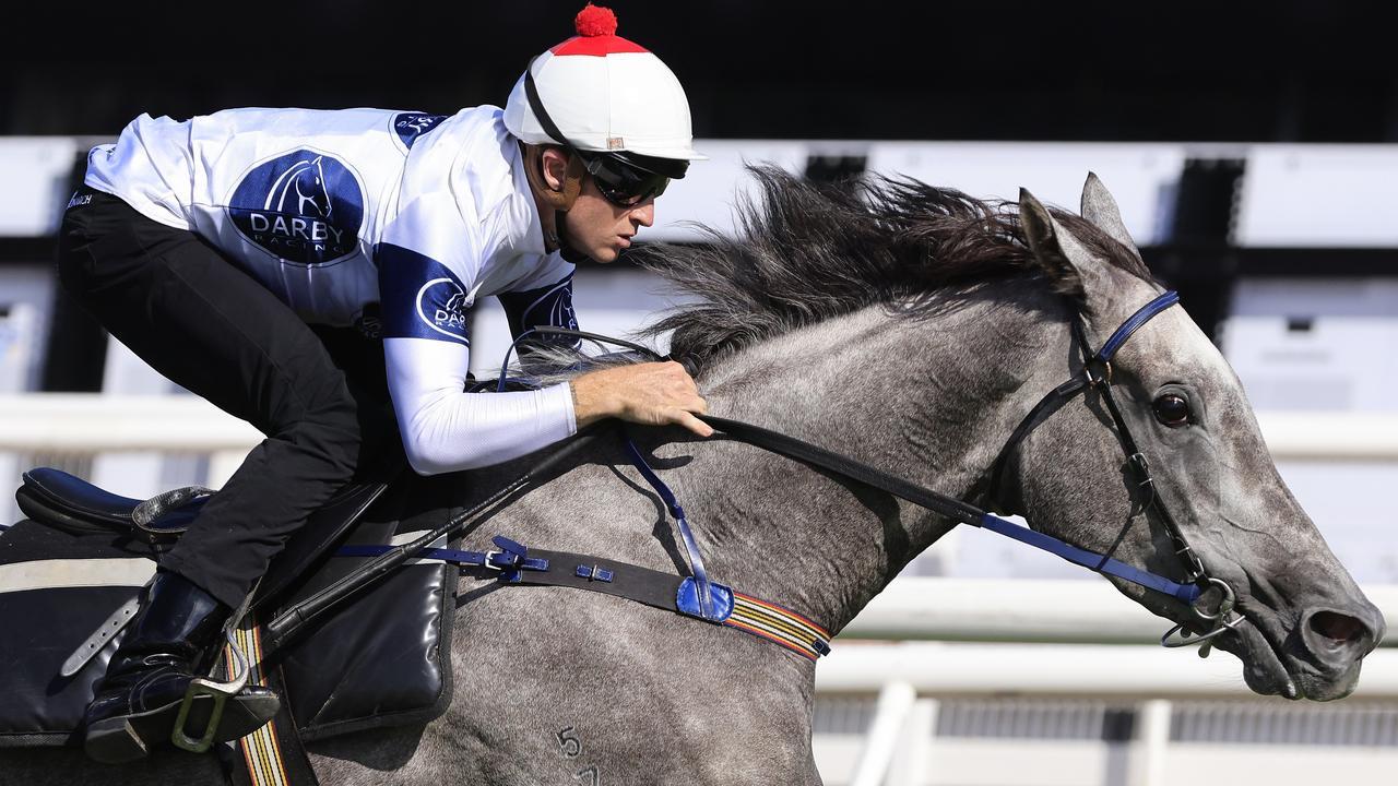 Harmony Rose will start her autumn campaign at Randwick on Wednesday. Picture: Getty Images