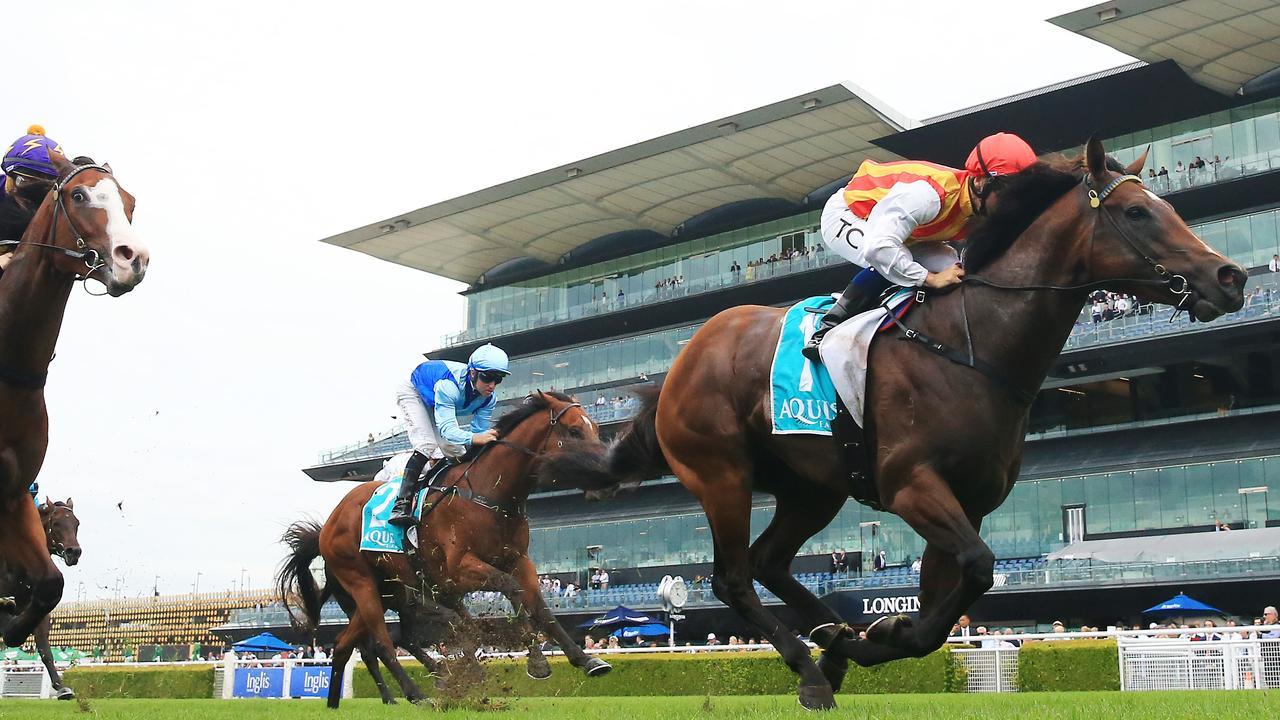 Tim Clark’s ride on Peltzer to win the Aquis Eskimo Prince was the best of the day.