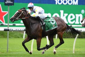 This mare is an interesting runner at Eagle Farm on Saturday. Photo: Steve Hart.