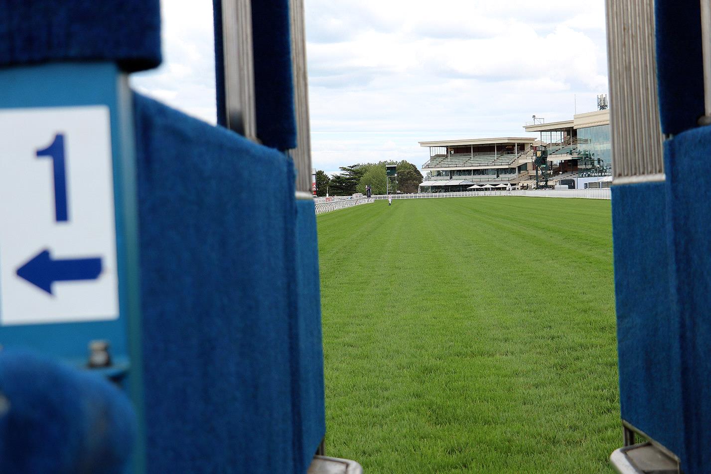 The barriers have been drawn for Saturday’s Memsie Stakes at Caulfield.