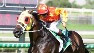 Let’s Party Marty winning at Doomben. Picture: Trackside Photography