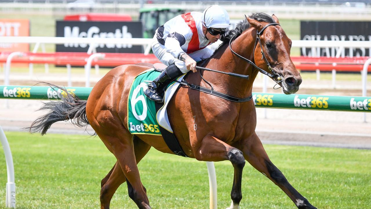 Two year-old Tony and Calvin McEvoy colt Pegasi spent the week at Ballarat before coming out to win at Geelong. Picture: Getty