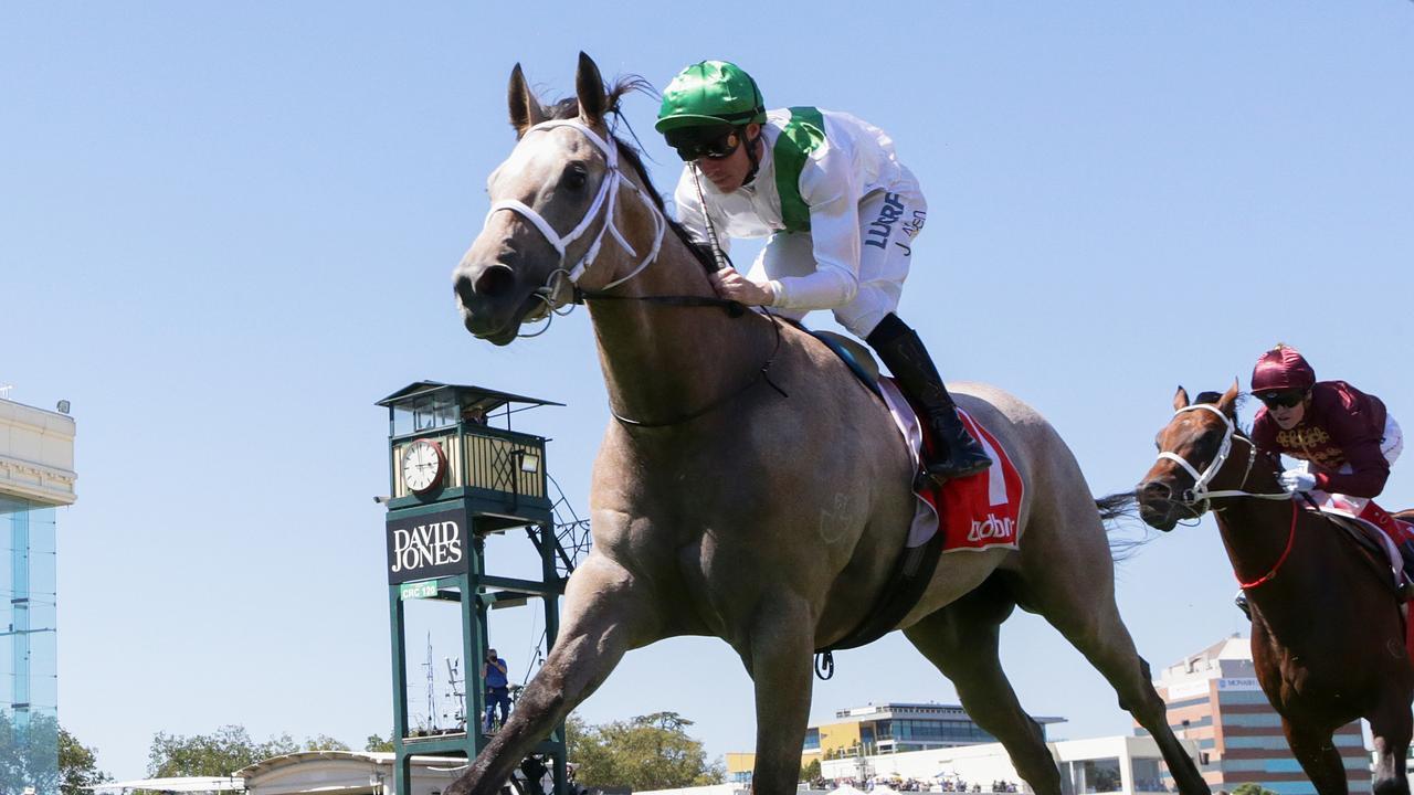 Terbium is the early favourite for a benchmark 84 race at Caulfield. Picture: AAP