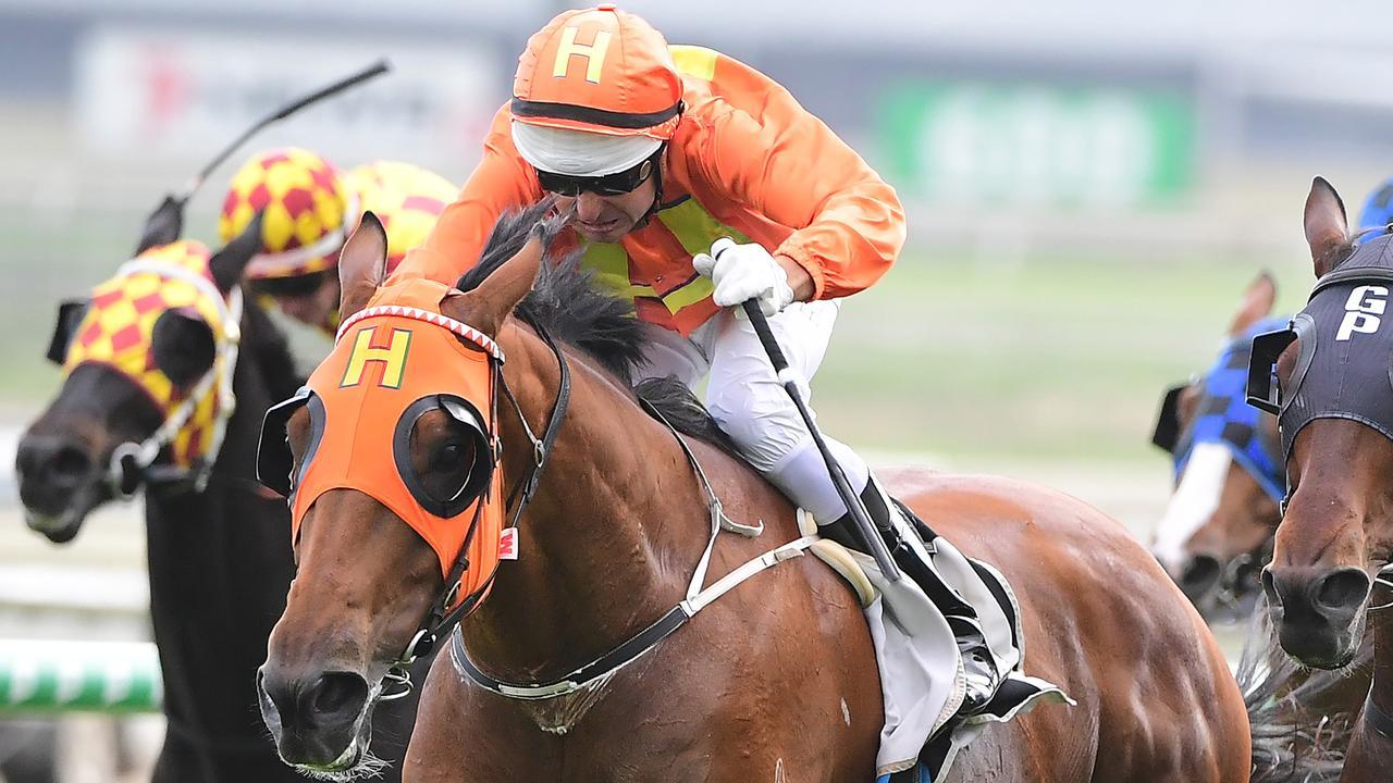 The Harovian was too good at Doomben