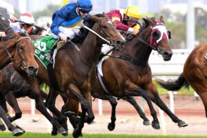 Damien Oliver (maroon and gold silks) drives Shout The Bar to victory in the Group 1 Empire Rose Stakes.