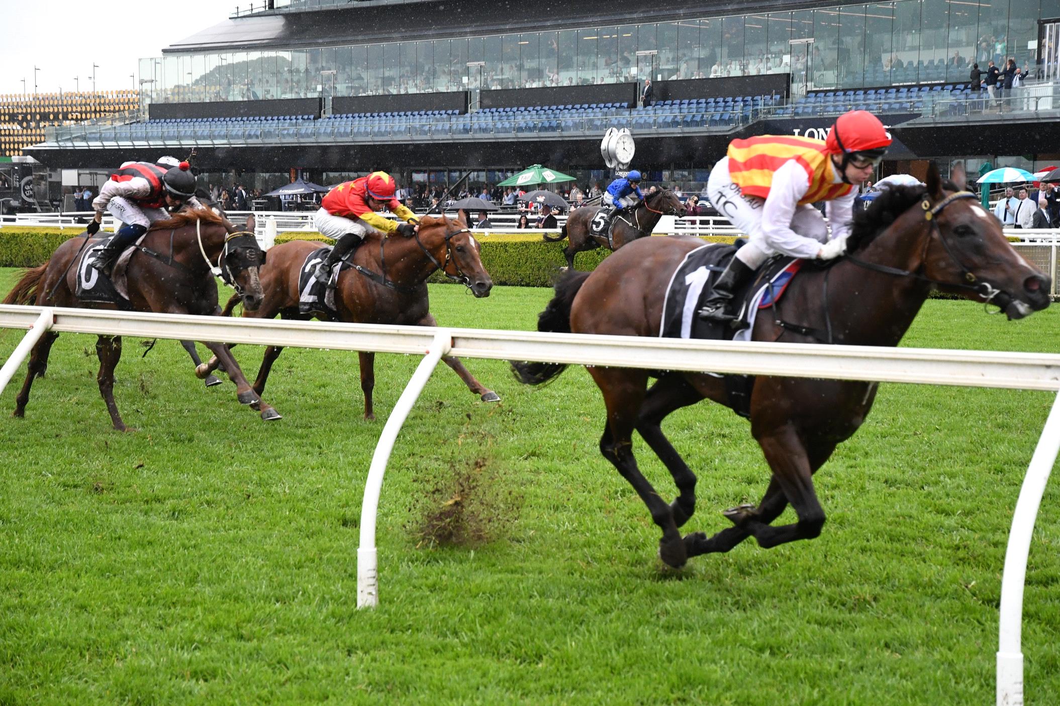 Peltzer dominated the Bondi Stakes.