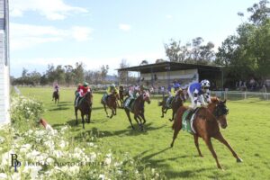 Saint Ambrose winning at Gunnedah recently.