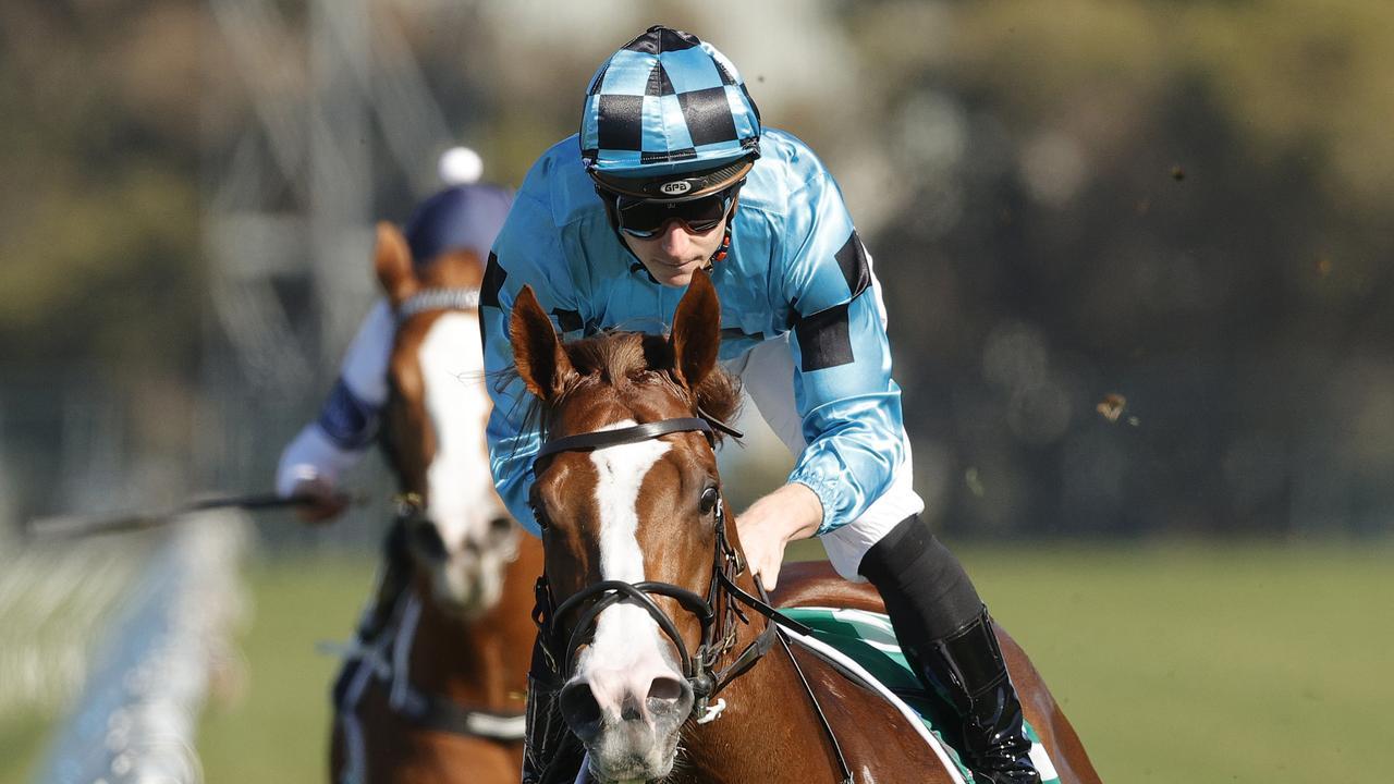 Quality colt Anders will be one of only three runners in Wednesday’s Blue Sapphire Stakes at Caulfield. Picture: Getty Images