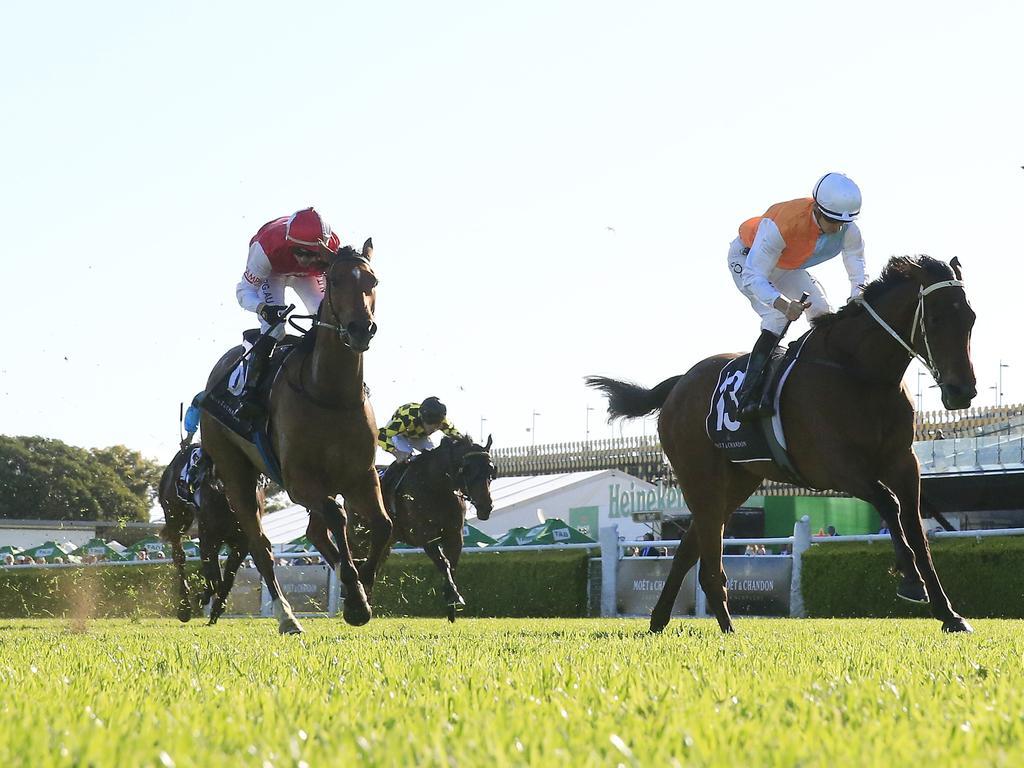 Result And Replay 2020 Spring Champion Stakes Racenet