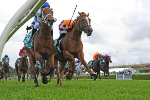 Kolding won the 2019 Epsom Handicap.