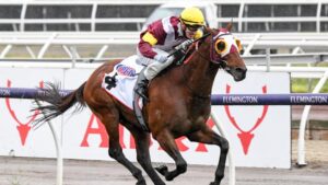 Matthew Smith has options in Sydney and Melbourne for Fierce Impact. Photo: Racing Photos via Getty Images