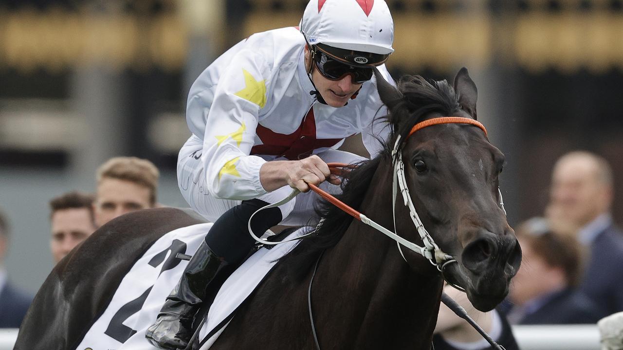 North Pacific is on the second line of betting in the Golden Rose. Picture: Getty Images