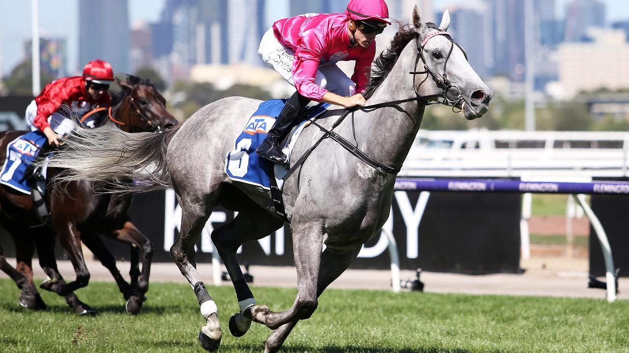 Jordan Childs winning on Fabergino at Flemington. Photo by Jack Thomas/Getty Images