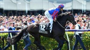 Jockey Michael Walker won’t be aboard Prince Of Arran in the 2020 Melbourne Cup. Photo: AAP/James Ross.