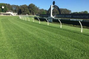 The Warwick Farm track is expected to be in mint condition.