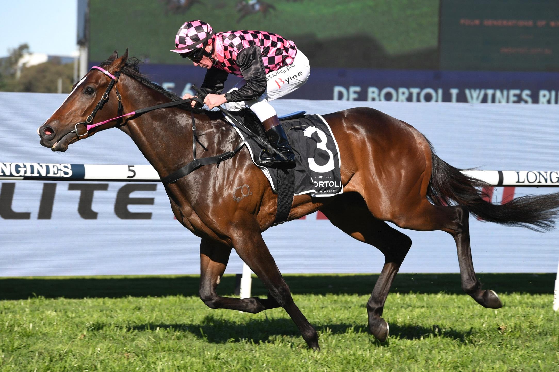 2020 Run To The Rose Stakes Jockeys Racenet