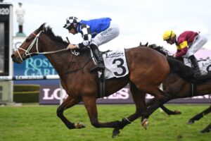 Mugatoo will lead Australian Bloodstock’s assault on the home front.