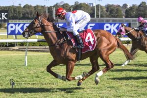 Decroux won the Taree Cup.