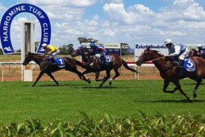 It’s Narromine Cup Day on Sunday.