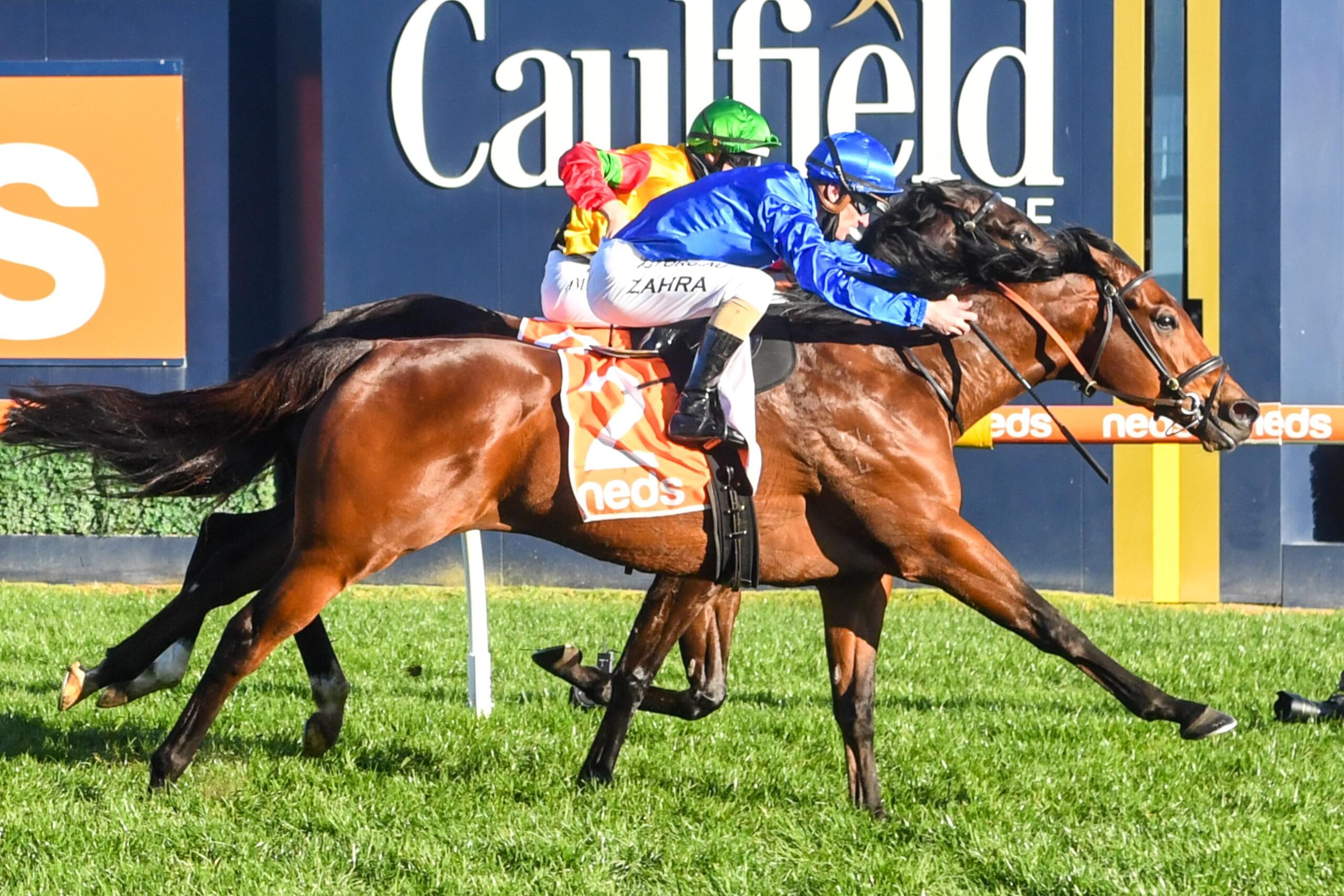 With a liking for Caulfield, Viridine finds the right race Saturday.