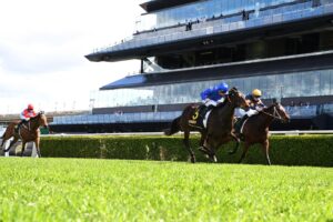 Varda (royal blue) edges out Masked Crusader (navy) at Randwick.