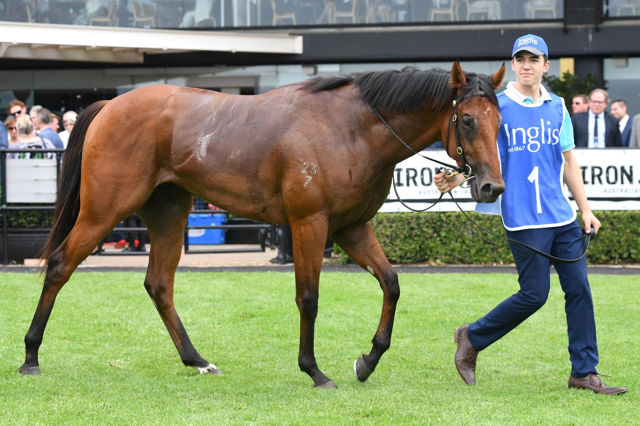 Farnan won a trial at Randwick on Friday.