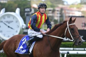 James McDonald rides Nature Strip in a trial on Wednesday.